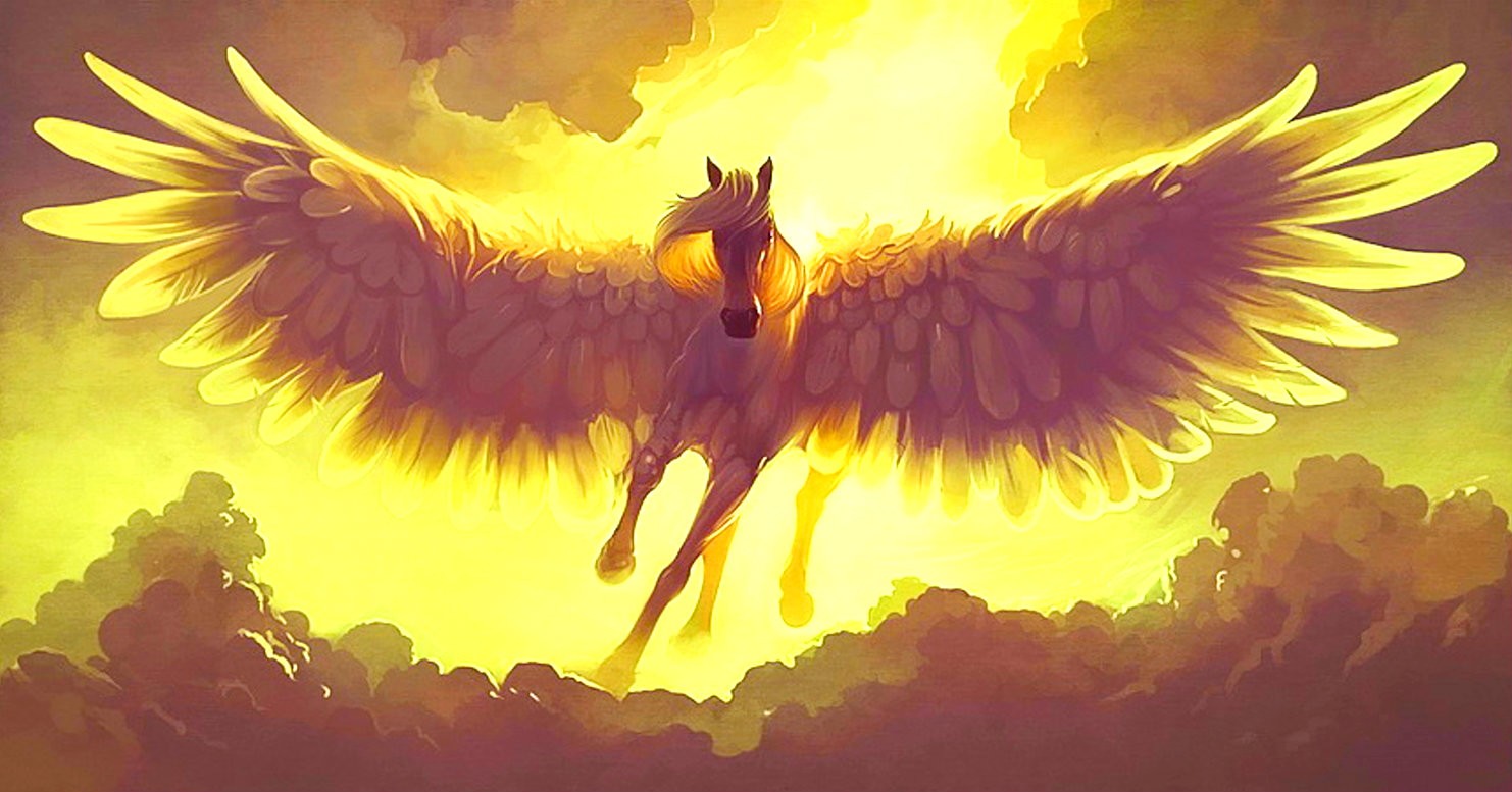Pegasus‘la ilk karşılaşma