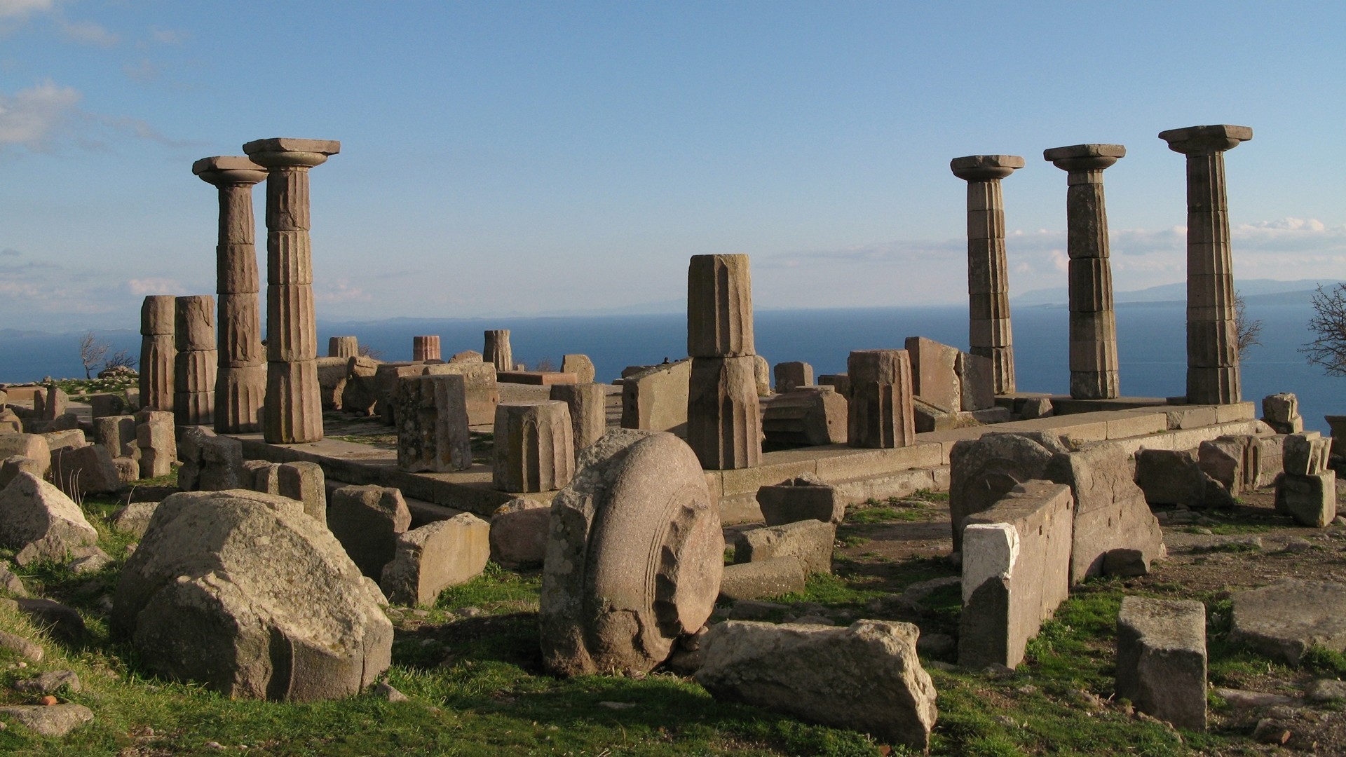 1. Assos
