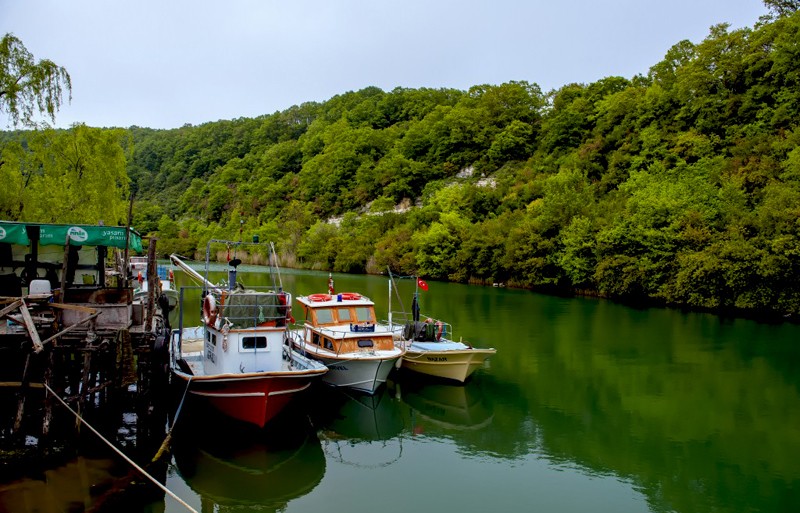7. Ağva