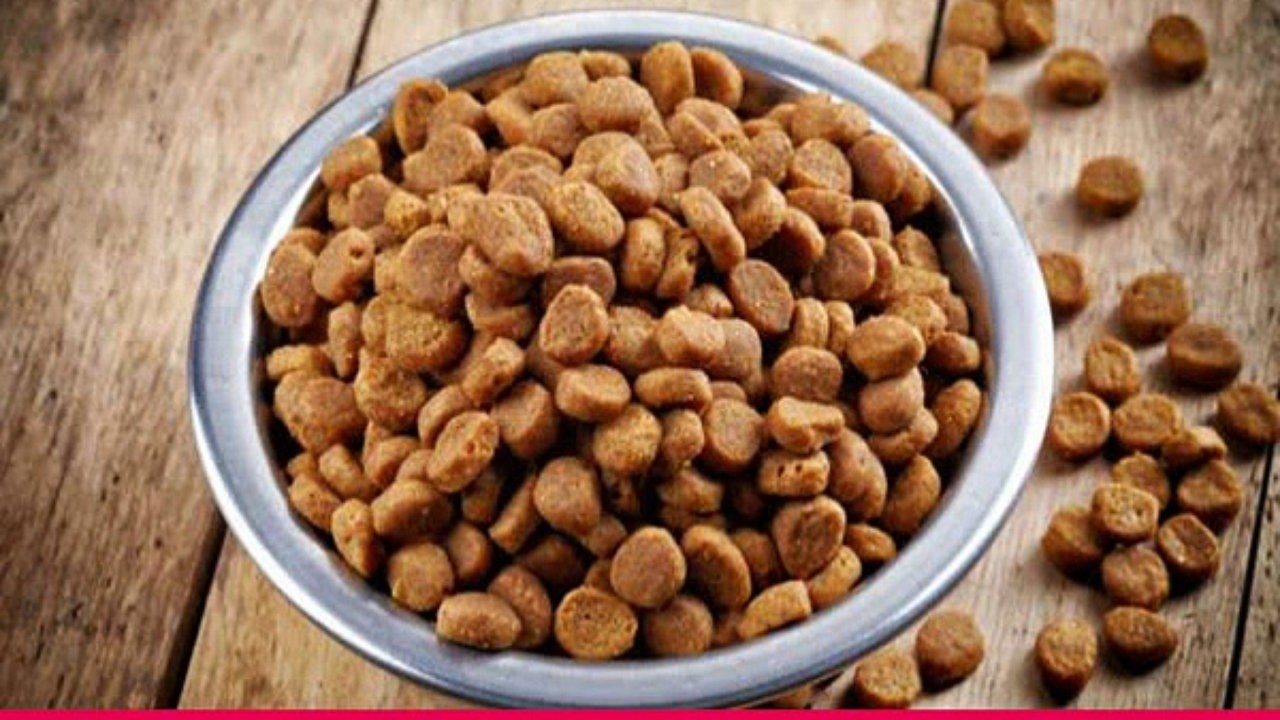 Köpek Mamaları ve Özellikleri